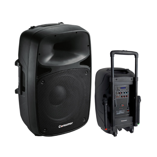 Parlante Amplificador Consumer Speaker Box15